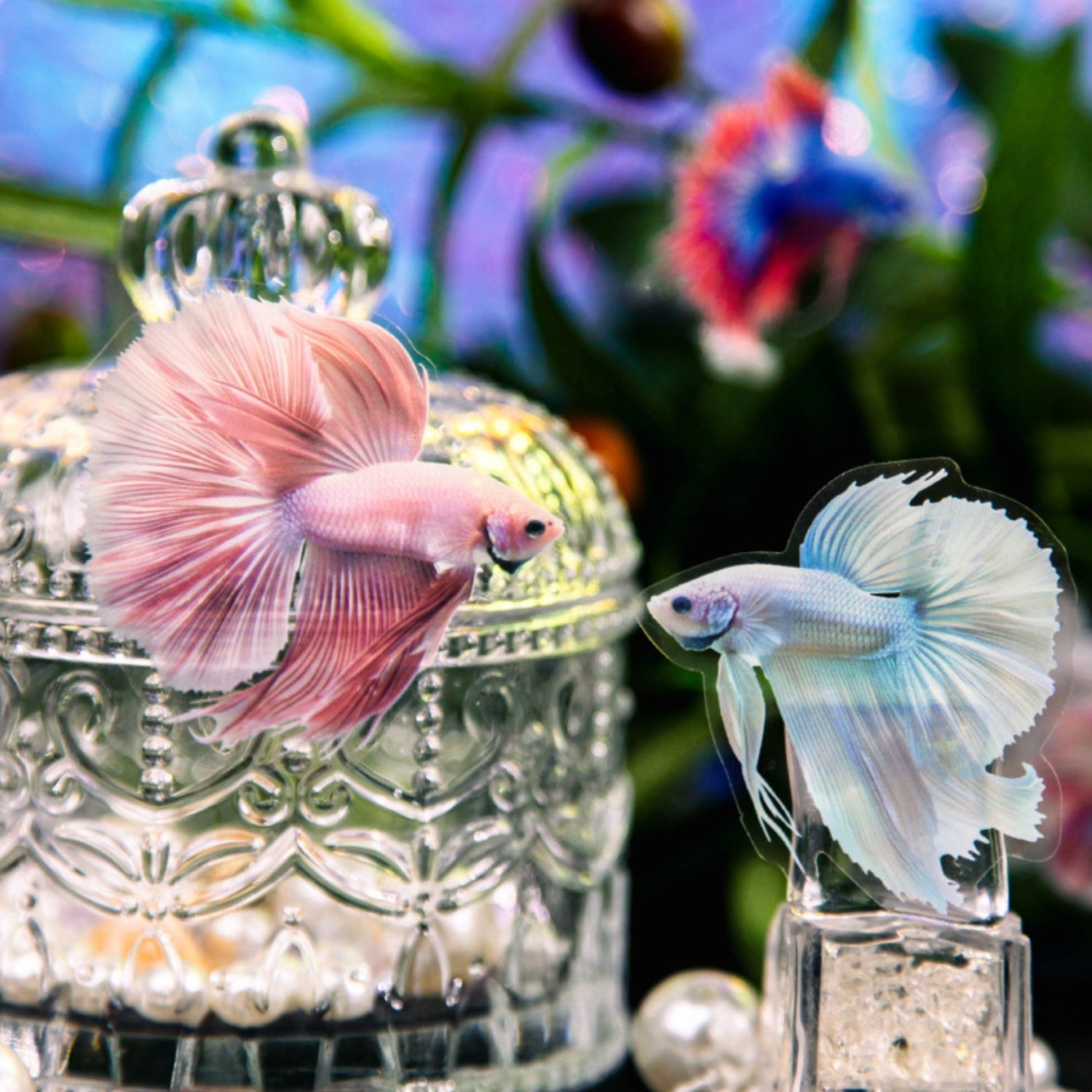 Colorful Fish Decorative Stickers