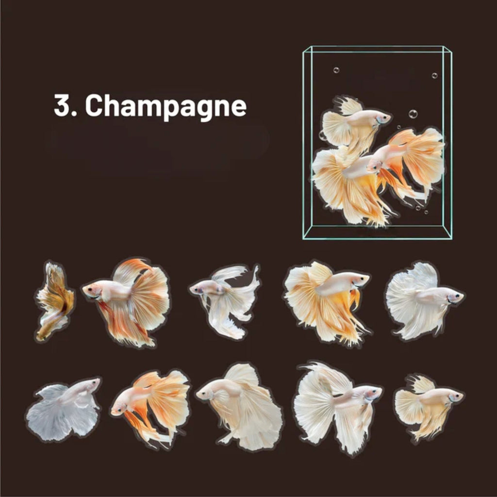 Colorful Fish Decorative Stickers
